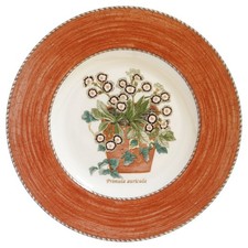 Wedgwood Sarah's Garden Salad Plate x 4 - Primula Auricula