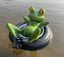 Cute Frog chilling on tyre