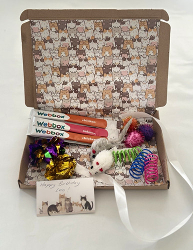 New kitten toys - new, gift