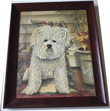 Lovely Maltese or Bichon Frise