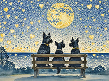 A5 greeting card can be