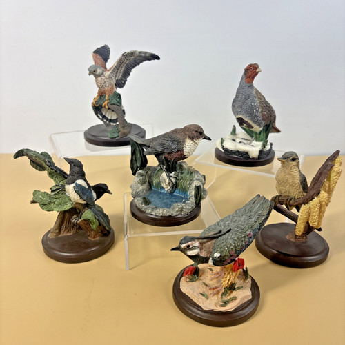 Country bird collection - bird, 6