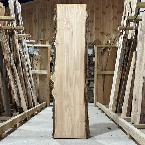 Sweet chestnut plank - sweet,