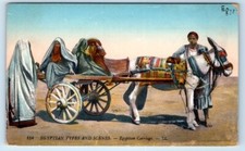 Egyptian donkey carriage - donkey, egypt