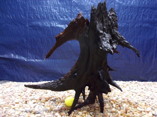 Driftwood aquarium reptile - driftwood,