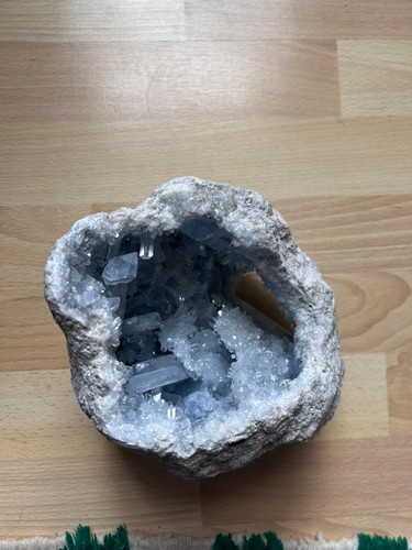 Large blue madagascar - blue,