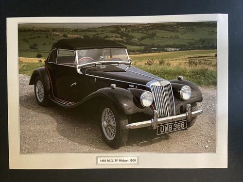 1955 tf midget 1500 - tf,