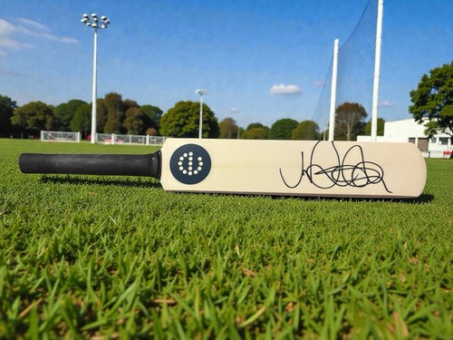 Joe root hand signed mini - joe,