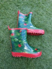 Lovely ladybug wellies, cover