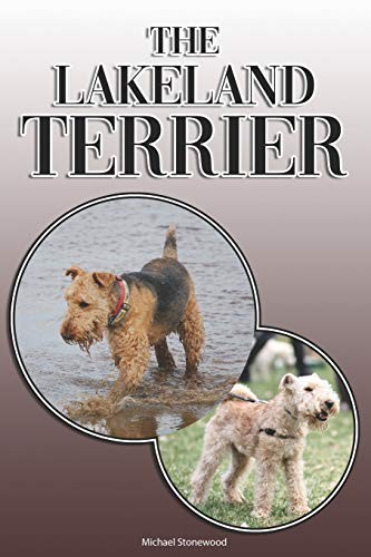 The lakeland terrier a - the, terrier: