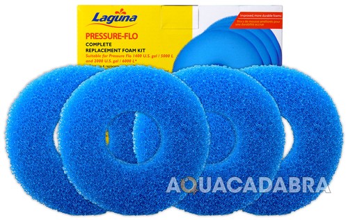 Laguna pressure flo 5000 - 5000, 6000