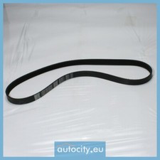 Gates 68377 V-Ribbed Belts