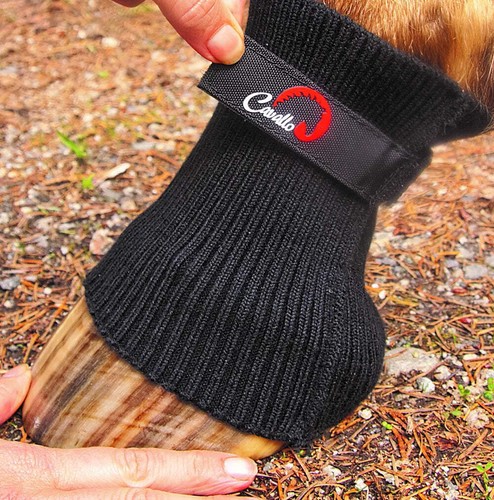 Cavallo inc horse comfort - horse,