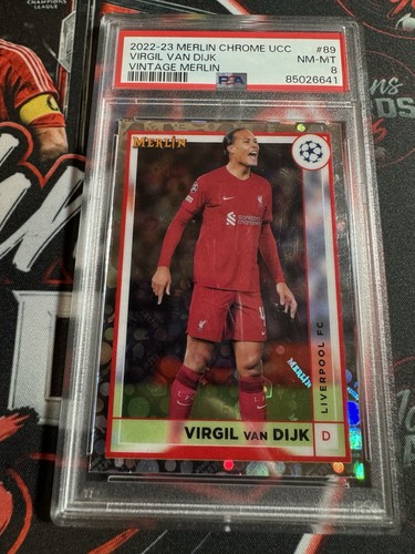 Virgil van dijk vintage - dijk,