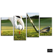 Golf Tee Shot   Sports BOX