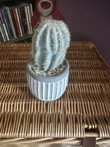 Abigail ahern faux cactus - abigail, in