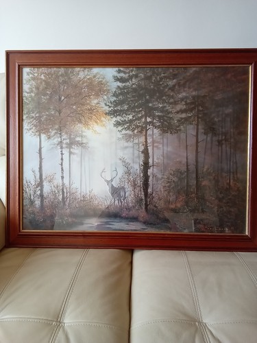Framed picture quiet forest - forest, by