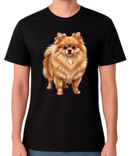 Pomeranian Dog Portrait