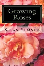 Growing Roses: Everything You