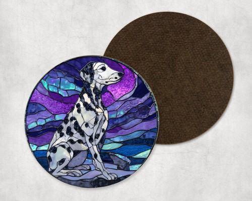 Dalmatian dog northern - northern, lights