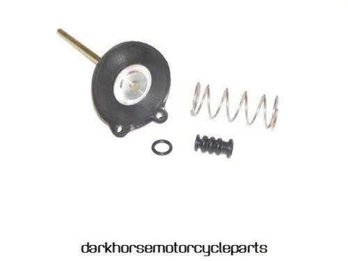 Accelerator pump rebuild kit - pump,