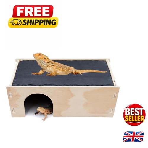 Durable reptile basking - reptile,