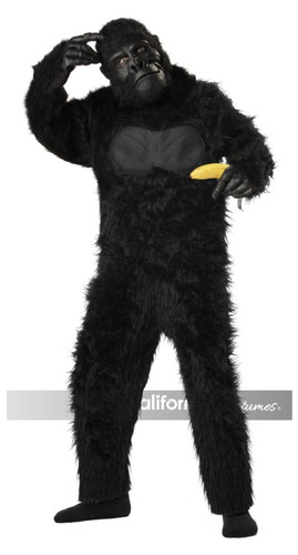 California costume gorilla - california,