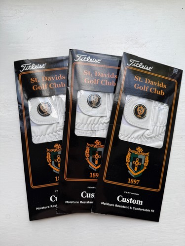 New titleist custom - 3,