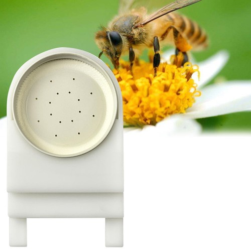 Honey feeder bee hive entrance - hive,