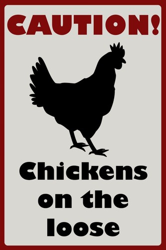 Chickens the loose warning - chickens, loose,