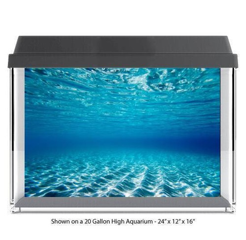Clear water aquarium - clear, glass
