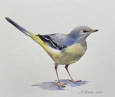 Grey Wagtail Original