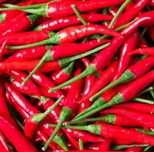 Fresh Red Birdseye chillies