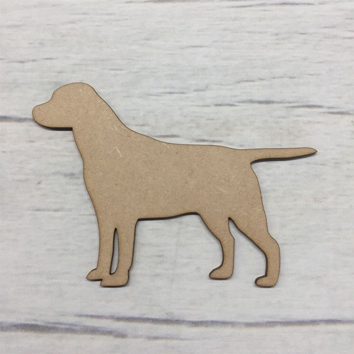 Dog labrador golden - dog,