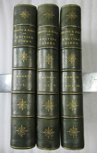 1853 natural history the - a, of