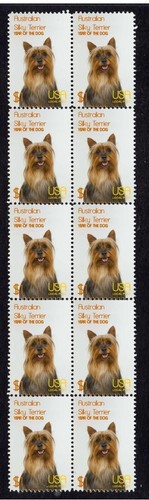 Australian silky terrier year - australian,
