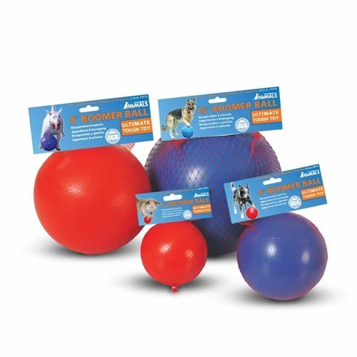 Boomer ball dog - ball, tough