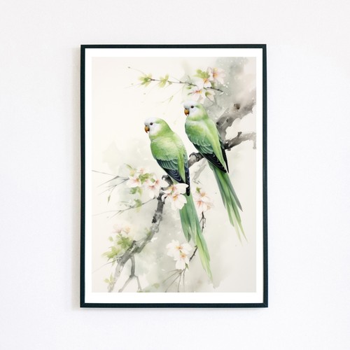 Green parrots birds - green,