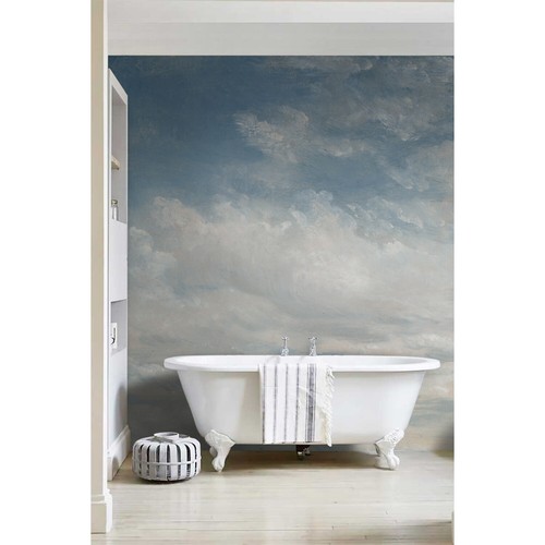 Light blue clouded wall mural - clouded,
