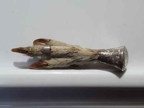 Scotish grouse foot - scotish, brooch