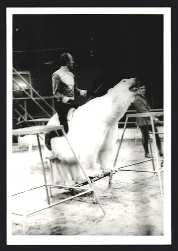Photograph teubert folz - photograph, teubert-folz