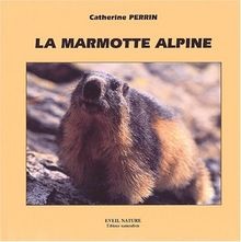 La Marmotte alpine by Perrin