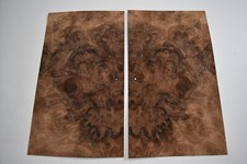 Walnut Burr / Burl - 2