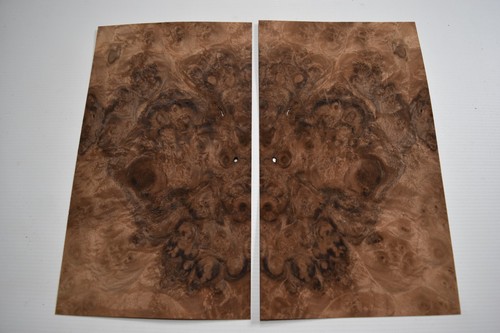 Walnut burr burl - burr, 2