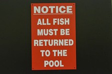 Notice All Fish Must Be