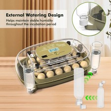 Automatic Digital Eggs