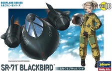 Hasegawa blackbird - hasegawa,
