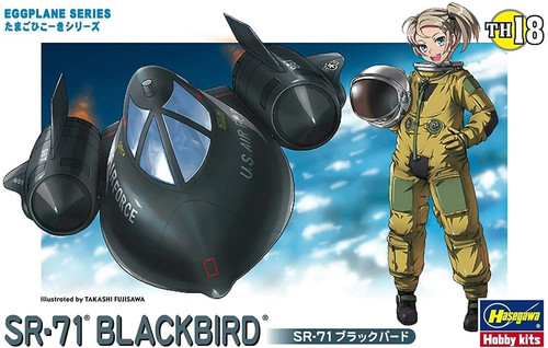 Hasegawa blackbird - hasegawa, sr-71