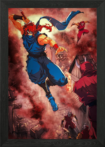 Ninja gaiden framed wall - framed, art