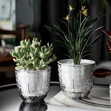 "Self-Watering Transparent